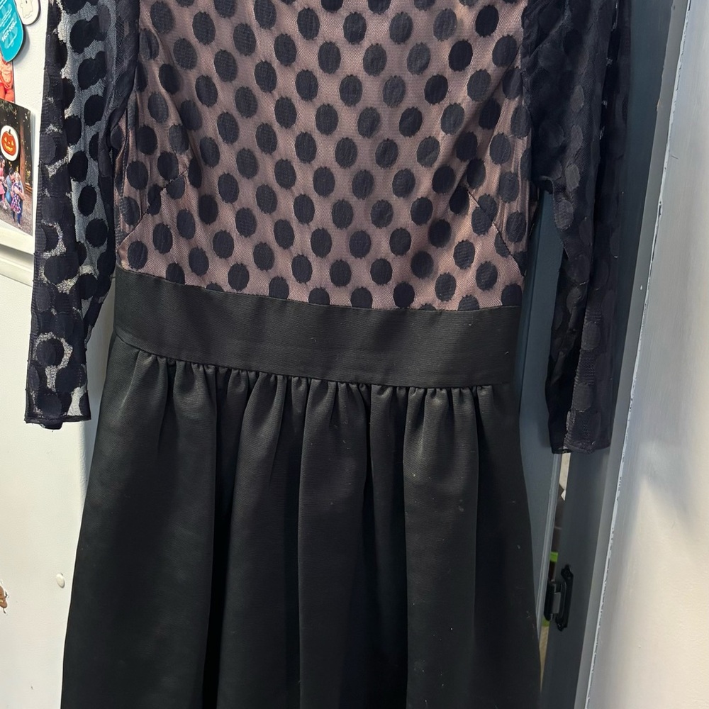 Eliza J Black and Tan Pleated Fit and Flare Dress